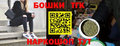 сатива Славгород