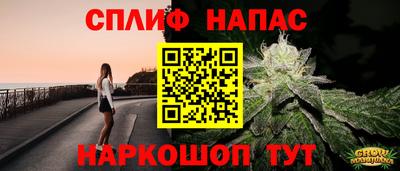 сатива Славгород