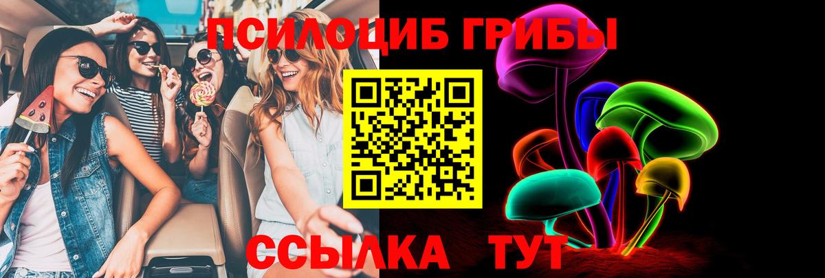 Галлюциногенные грибы GOLDEN TEACHER  Вход с VPN  Новозыбков 